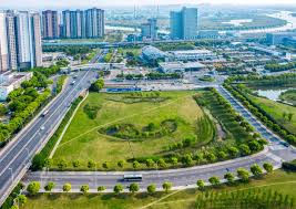 宣城园林绿化苗木价格市场价怎么询价