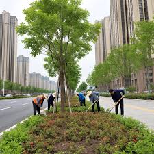 土建绿化工程收费标准
